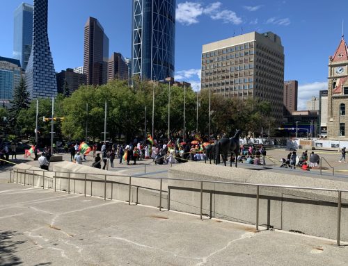 Resilience Beyond Risk: Learning From Global Democratic Erosion