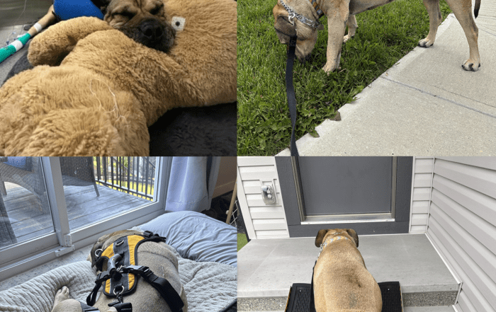 From injury, to recovery, to resilience